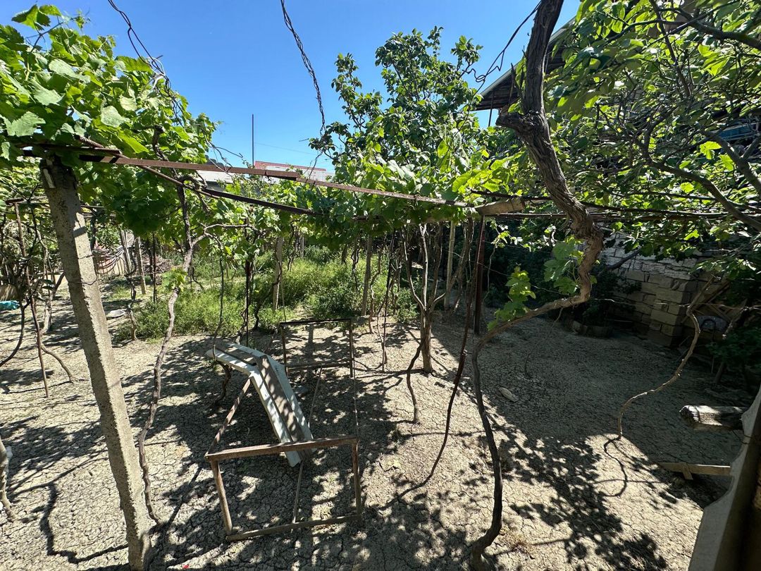 Satılır 4 otaqlı həyət evi/bağ evi 110 m² — Ev, villa, Bakı (3)