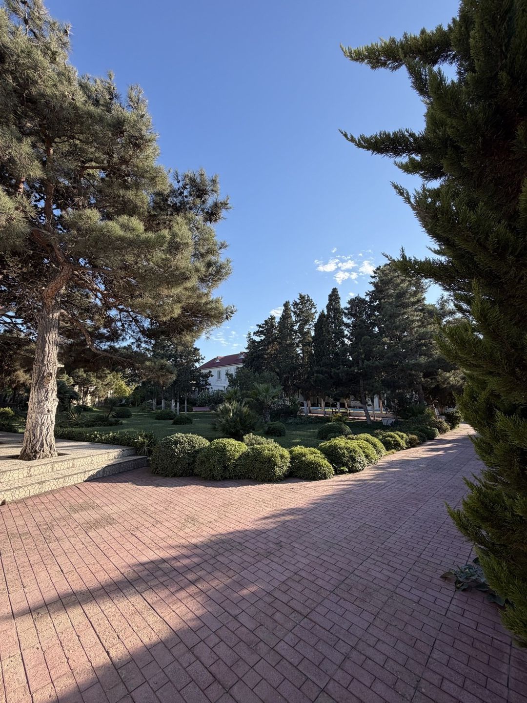 Satılır 5 otaqlı həyət evi/bağ evi 250 m² — Ev, villa, Bakı (8)