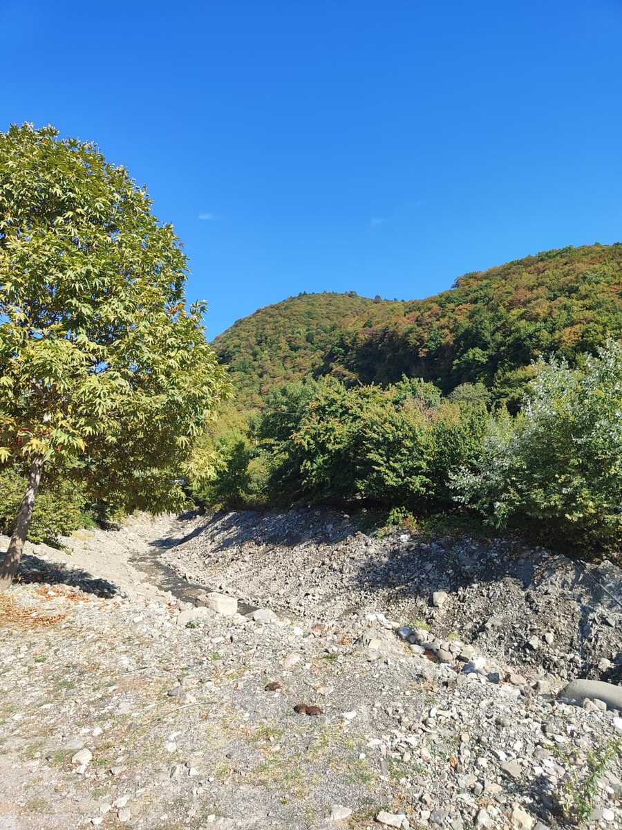 Satılır torpaq 5 sot — Torpaq, İsmayıllı