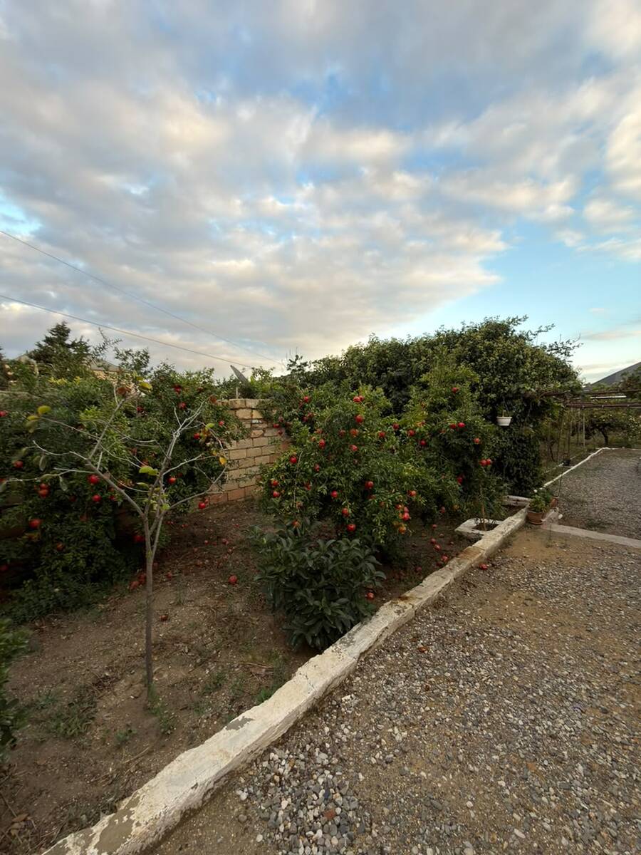 Satılır torpaq 9 sot — Torpaq, Bakı (2)