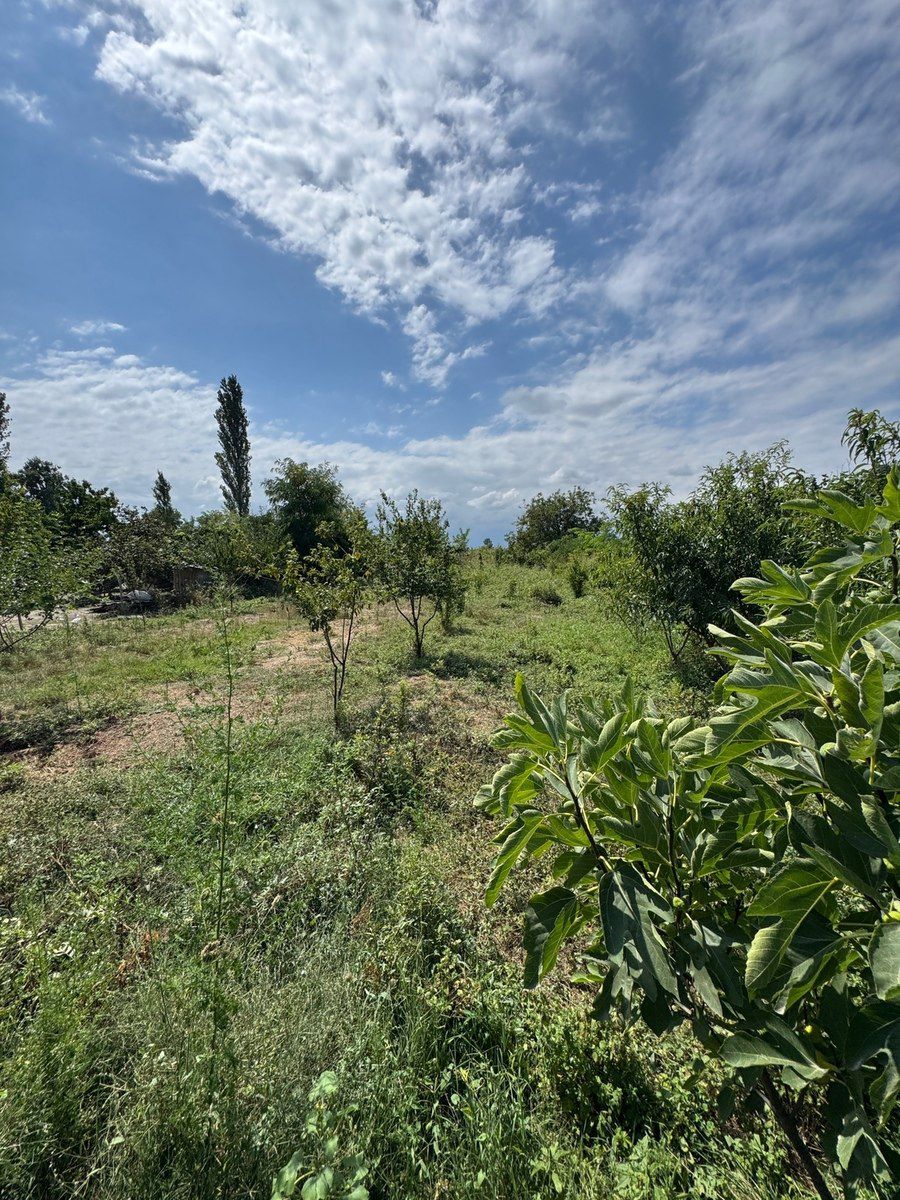 12 sot torpaq sahəsi, Qusar r — Torpaq, Qusar (5)