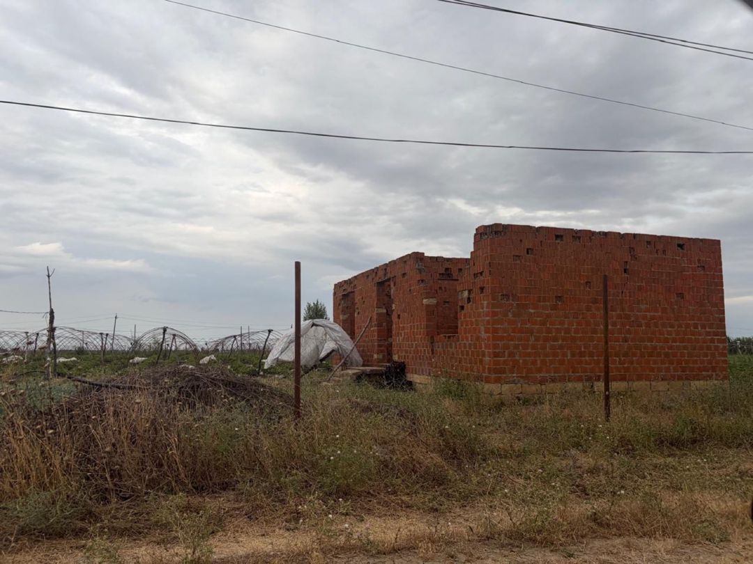 20 sot torpaq sahəsi, Cəlilabad r — Torpaq, Cəlilabad (2)