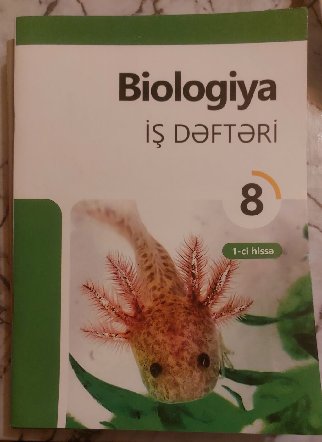 Biologiya 8-ci sinif İş dəftəri — Ofis malları, Digah
