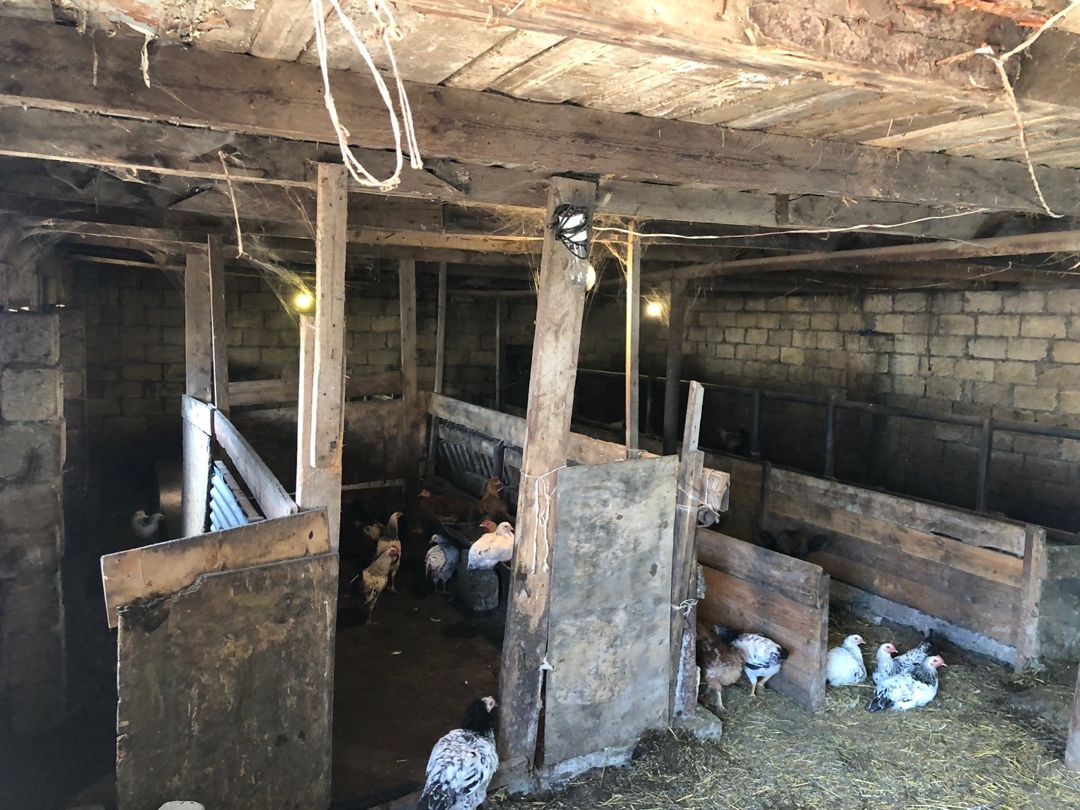 Bağ evi, Şamaxı r — Ev, villa, Şamaxı (12)