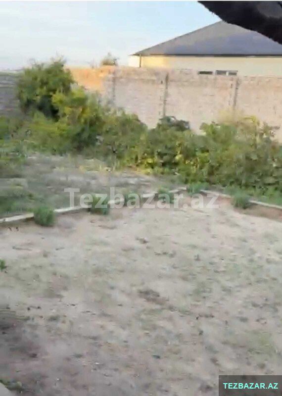 Albalılıqda həyət evi satılırrr — Ev, villa, Bakı (8)