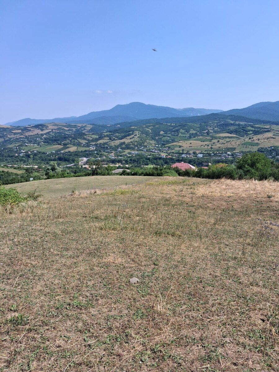 100 sot torpaq sahəsi, Quba ray — Torpaq, Quba (3)