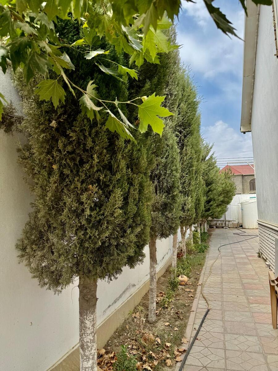 Satılır 4 otaqlı həyət evi/bağ evi 95 m² — Ev, villa, Bakı (4)