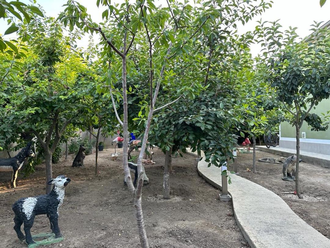 Satılır 5 otaqlı həyət evi/bağ evi 200 m² — Ev, villa, Bakı (8)