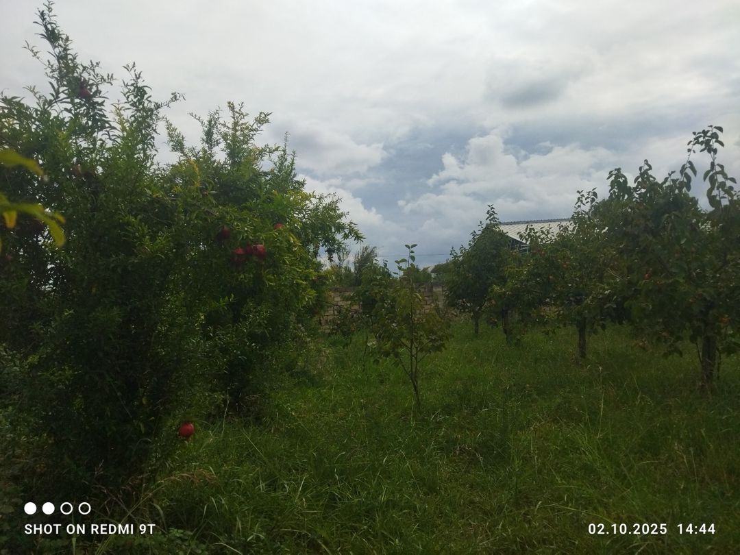 15 sot torpaq sahəsi, Ağdaş r — Torpaq, Ağdaş (4)
