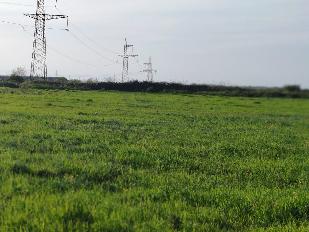 1400 sot torpaq sahəsi, Xaçmaz r — Torpaq, Xaçmaz (5)