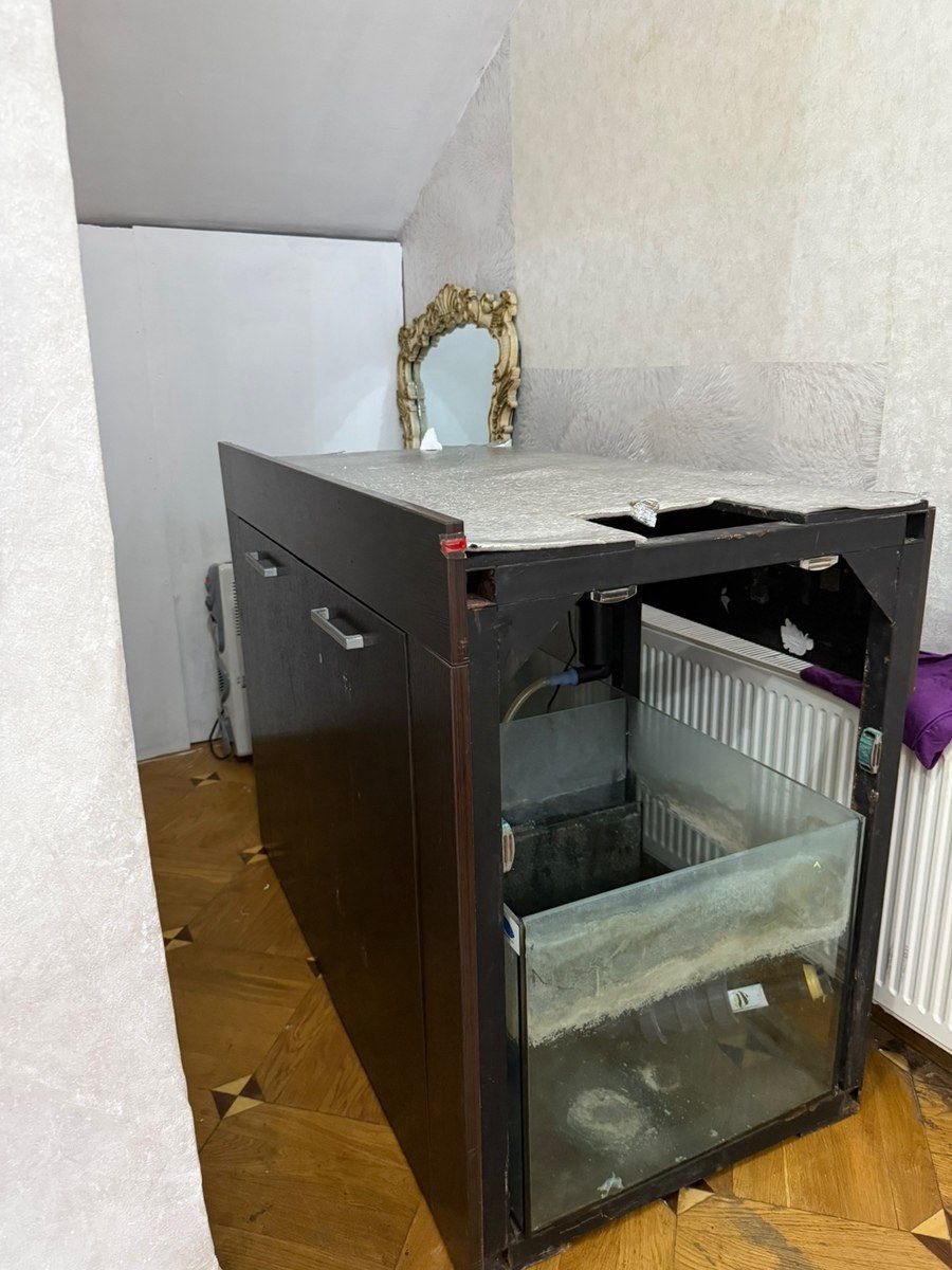 Akvarium — Akvariumlar və balıqlar, Sumqayıt (2)