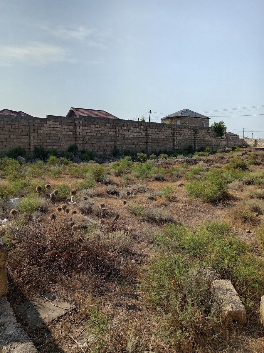 5 sot torpaq sahəsi, Türkan qəs — Torpaq, Bakı