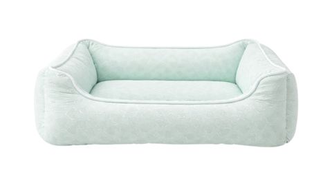 Taxt ev heyvanları üçün, ölçüsü 2XL — Bakı