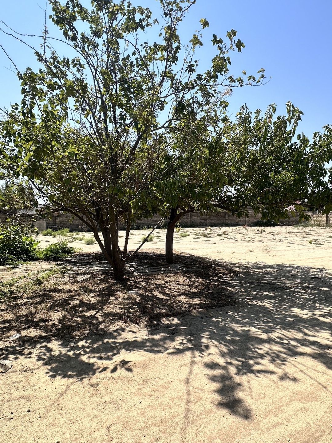 Satılır torpaq 7 sot — Torpaq, Bakı (7)