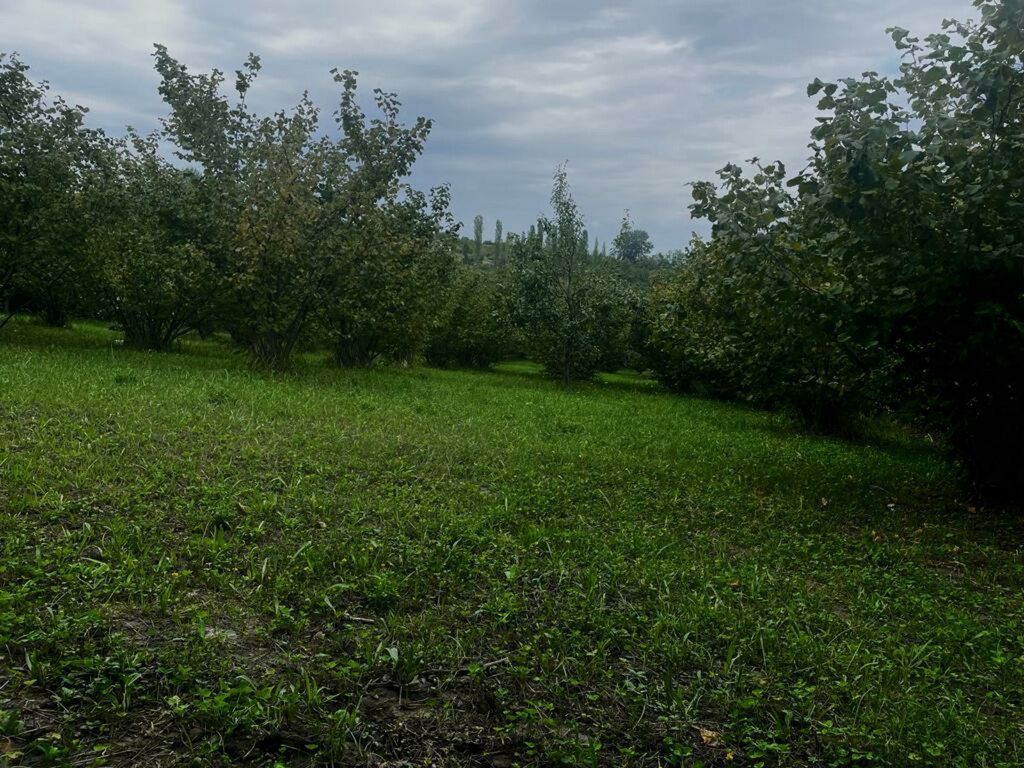 24 sot torpaq sahəsi, Qusar r — Torpaq, Qusar (8)