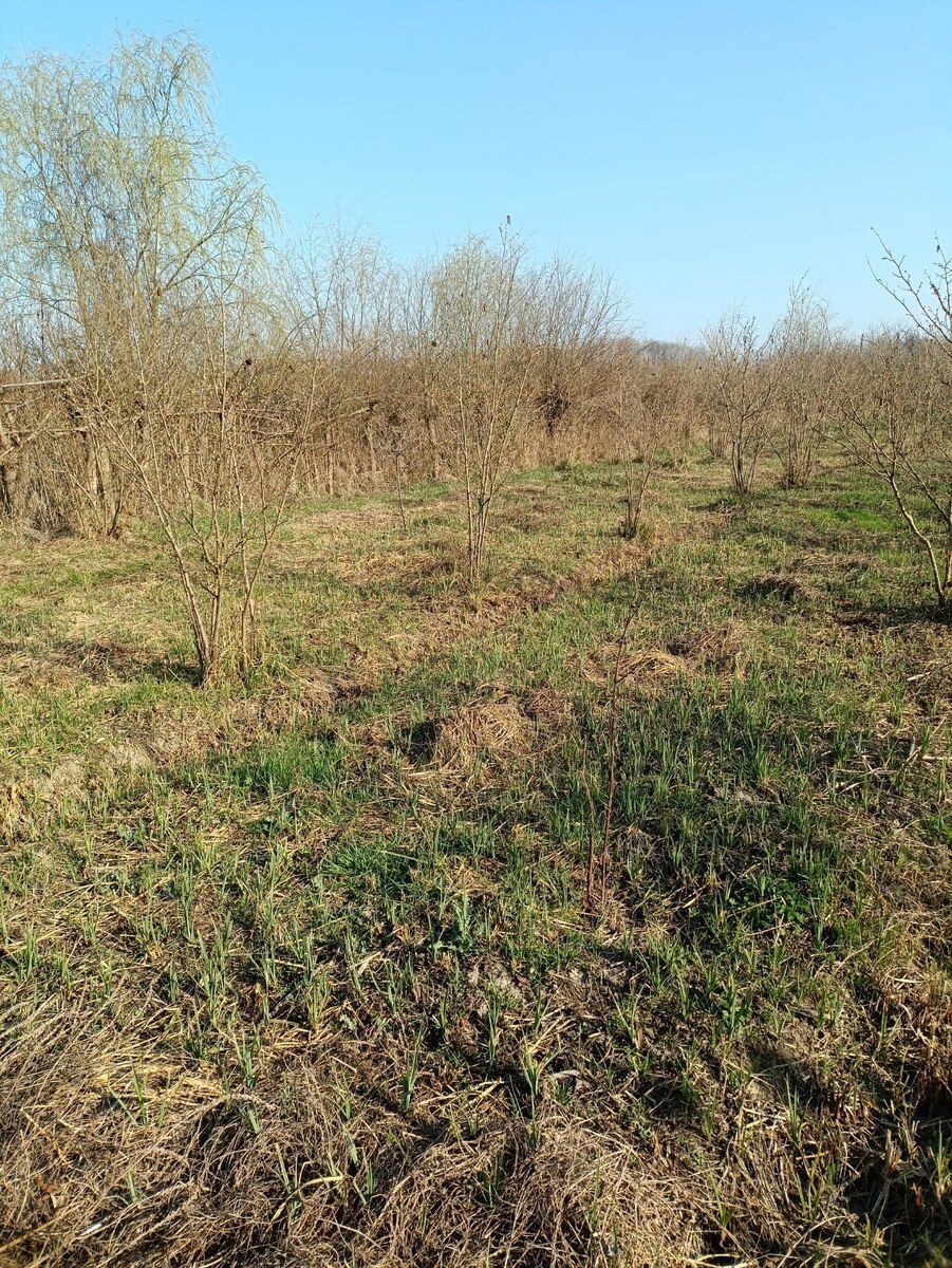 9 sot torpaq sahəsi, Xaçmaz r — Torpaq, Xaçmaz (5)
