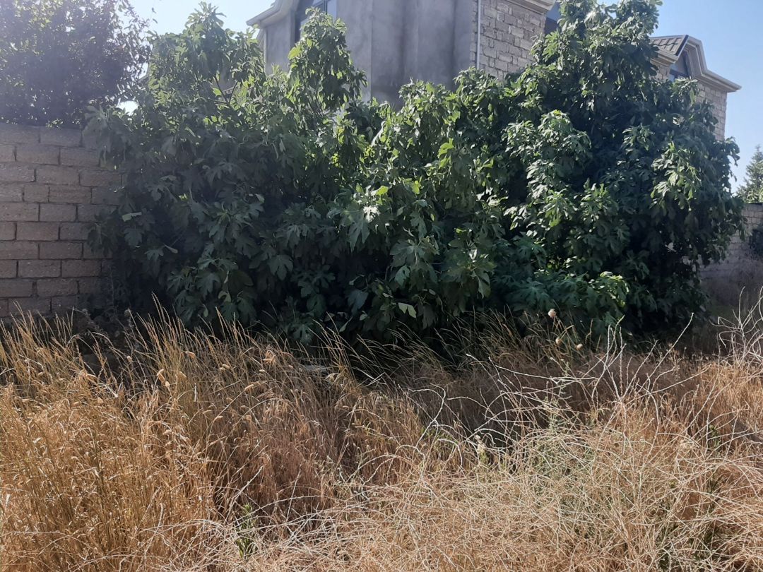 4.5 sot torpaq sahəsi, Maştağa qəs — Torpaq, Bakı (7)