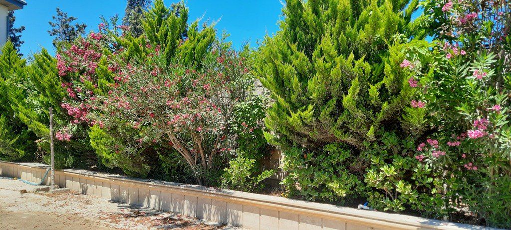 Bağ evi kirayə verilir, Şağan qəs — Ev, villa, Bakı (4)