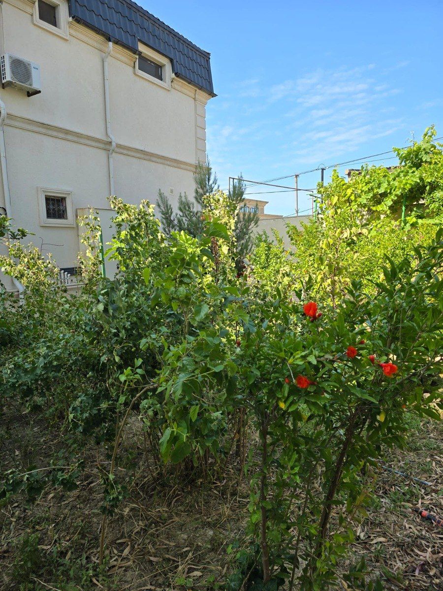 İcarəyə verilir 4 otaqlı həyət evi/bağ evi 300 m² — Ev, villa, Bakı (3)