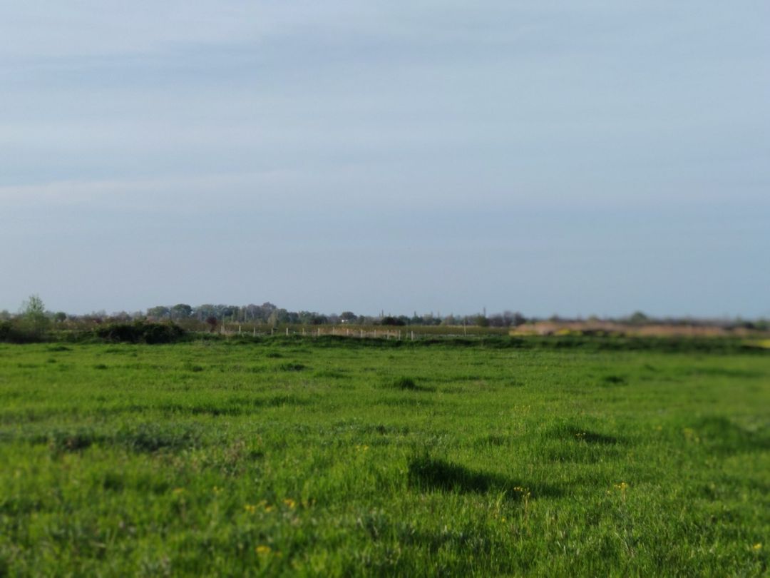 1400 sot torpaq sahəsi, Xaçmaz r — Torpaq, Xaçmaz (4)