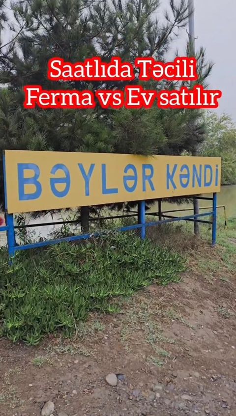 Həyət evi, Saatlı r — Bakı