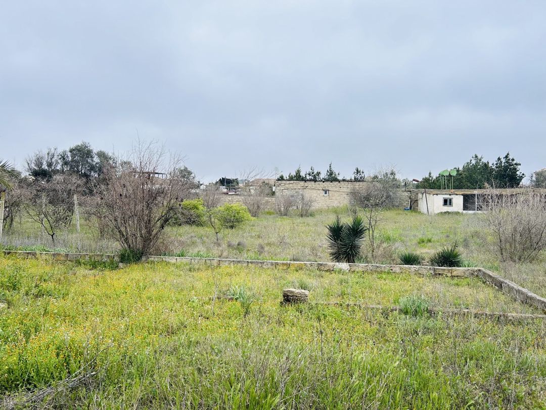 Satılır torpaq 29 sot — Torpaq, Bakı (7)
