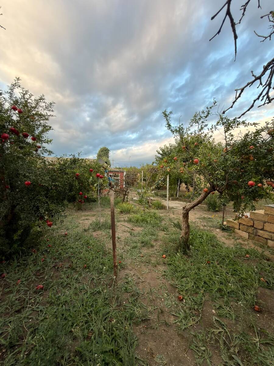 Satılır torpaq 9 sot — Torpaq, Bakı (10)