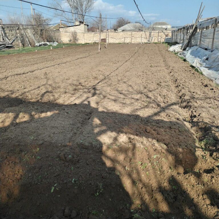 Torpaqların bellənməsi, şumlanması — Digər, Bakı (4)