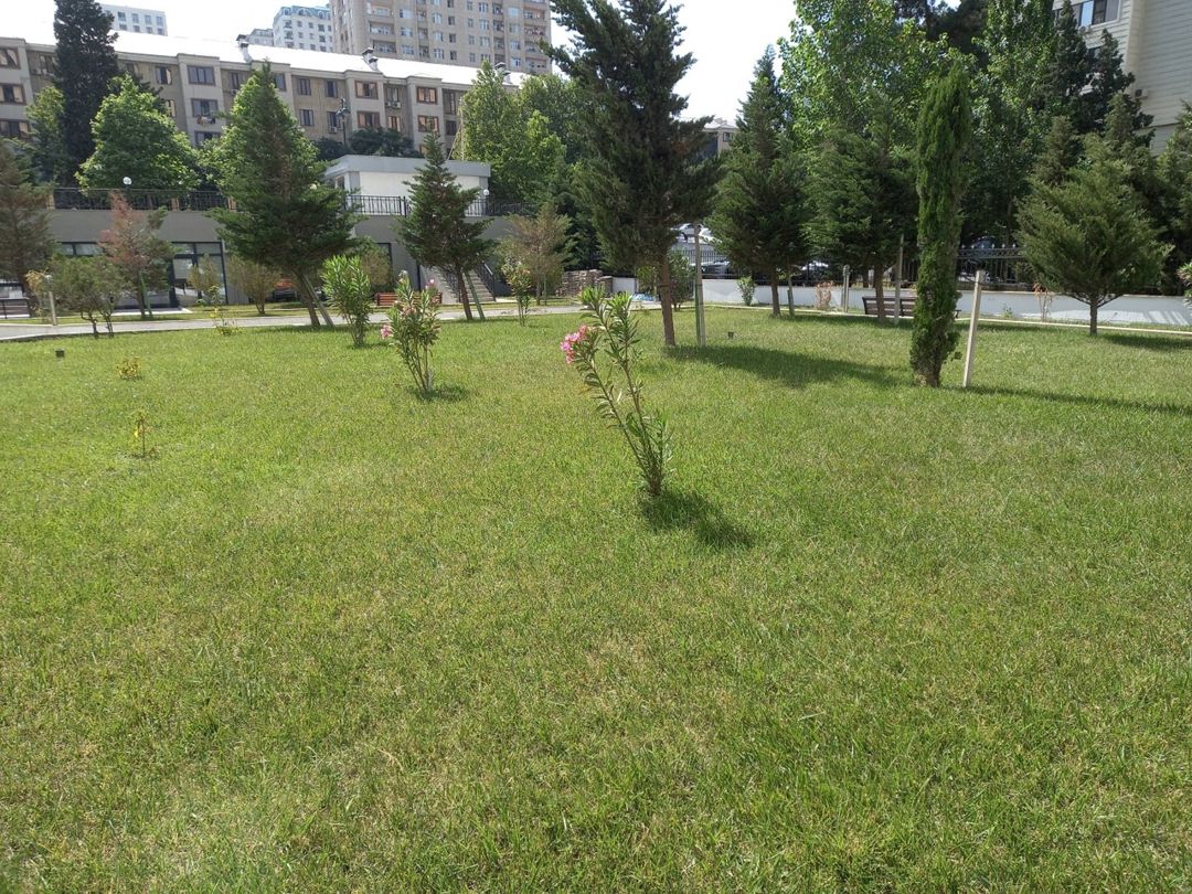 İcarəyə verilir 3 otaqlı yeni tikili 155 m² — Mənzil, Bakı (3)