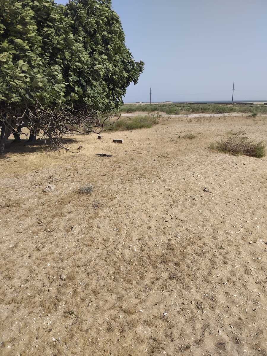 60 sot torpaq sahəsi, Zirə qəs — Torpaq, Bakı (4)