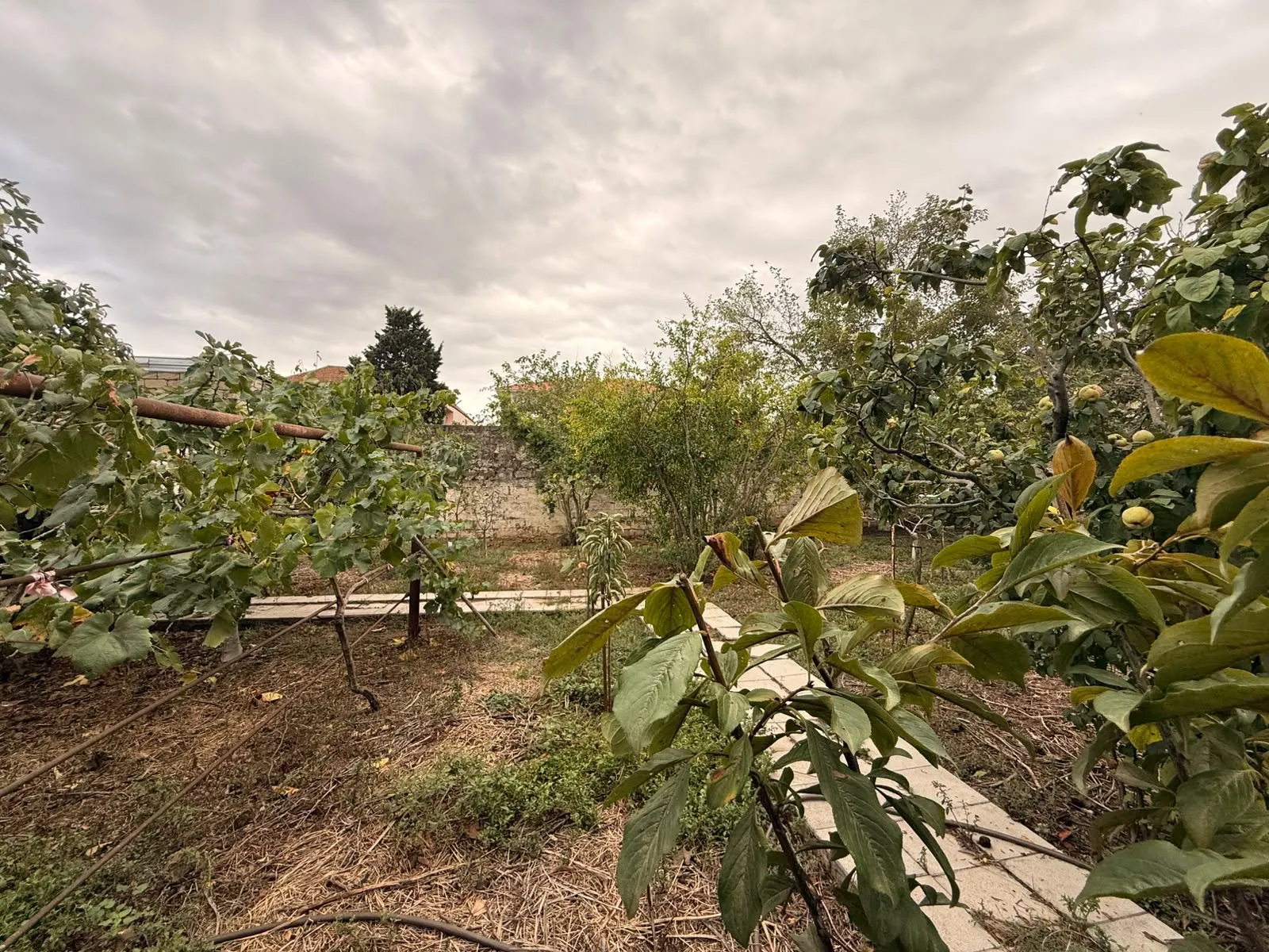 Mərdəkan, Torpaq satılır - 10 sot — Torpaq, Bakı (3)