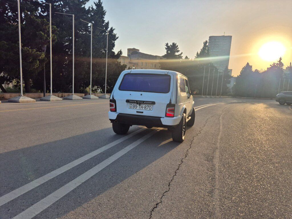 Lada (VAZ) Niva, 1.6 L, 2014 il, 587 664 km 99-TH-870 — Avtomobillər, Masallı (6)