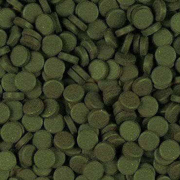 "Tropical Spirulina" balıq yemi — Akvariumlar və balıqlar, Bakı (2)