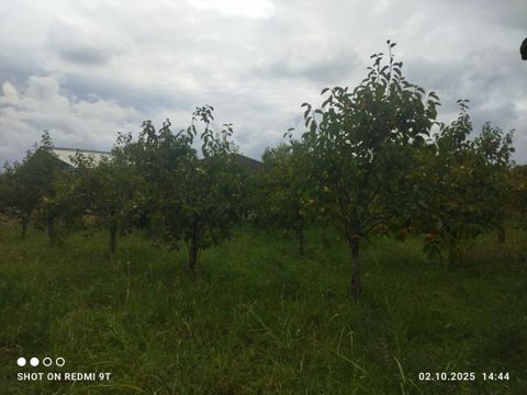15 sot torpaq sahəsi, Ağdaş r — Ağdaş