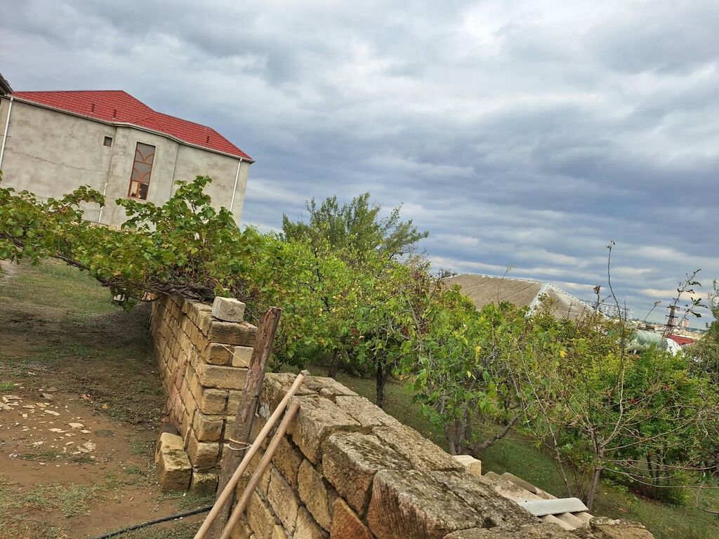 1100 sot, Tikinti, Bələdiyyə — Torpaq, Bakı (4)