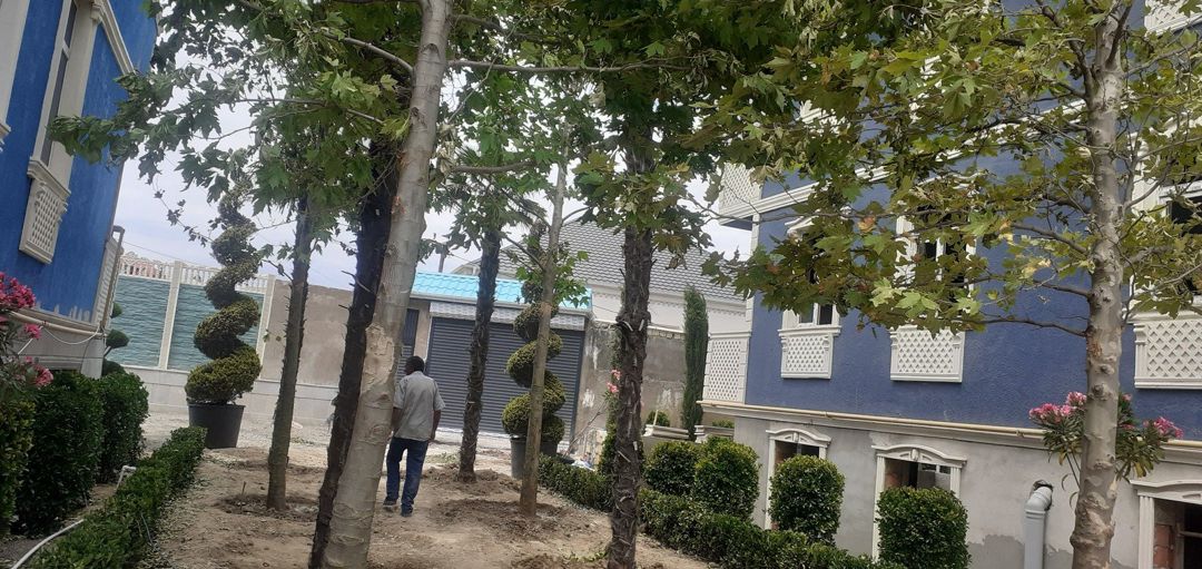 Satılır 2 otaqlı yeni tikili 57 m² — Mənzil, Bakı (8)