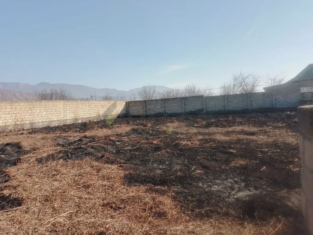 8 sot Torpaq Satılır, Şəki — Torpaq, Şəki (3)