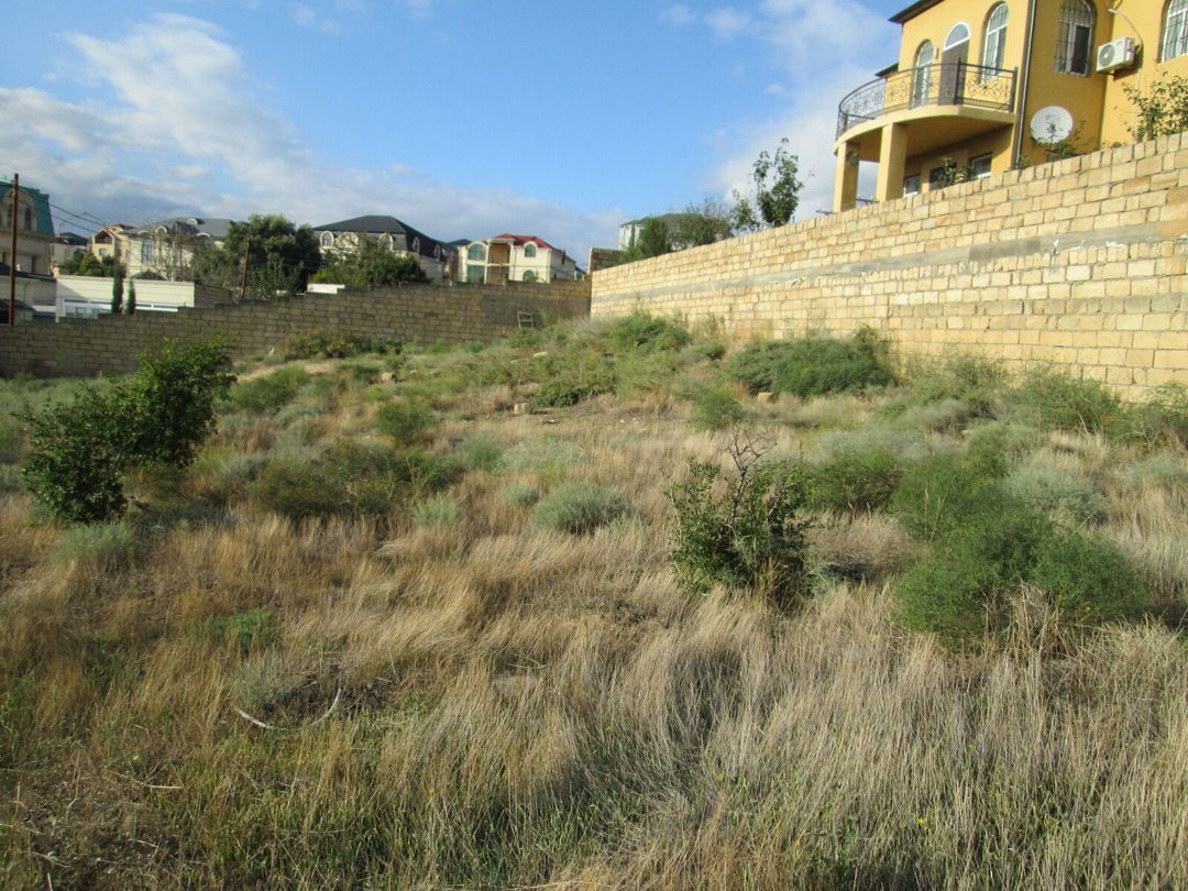 Satılır torpaq 9 sot — Torpaq, Bakı (3)