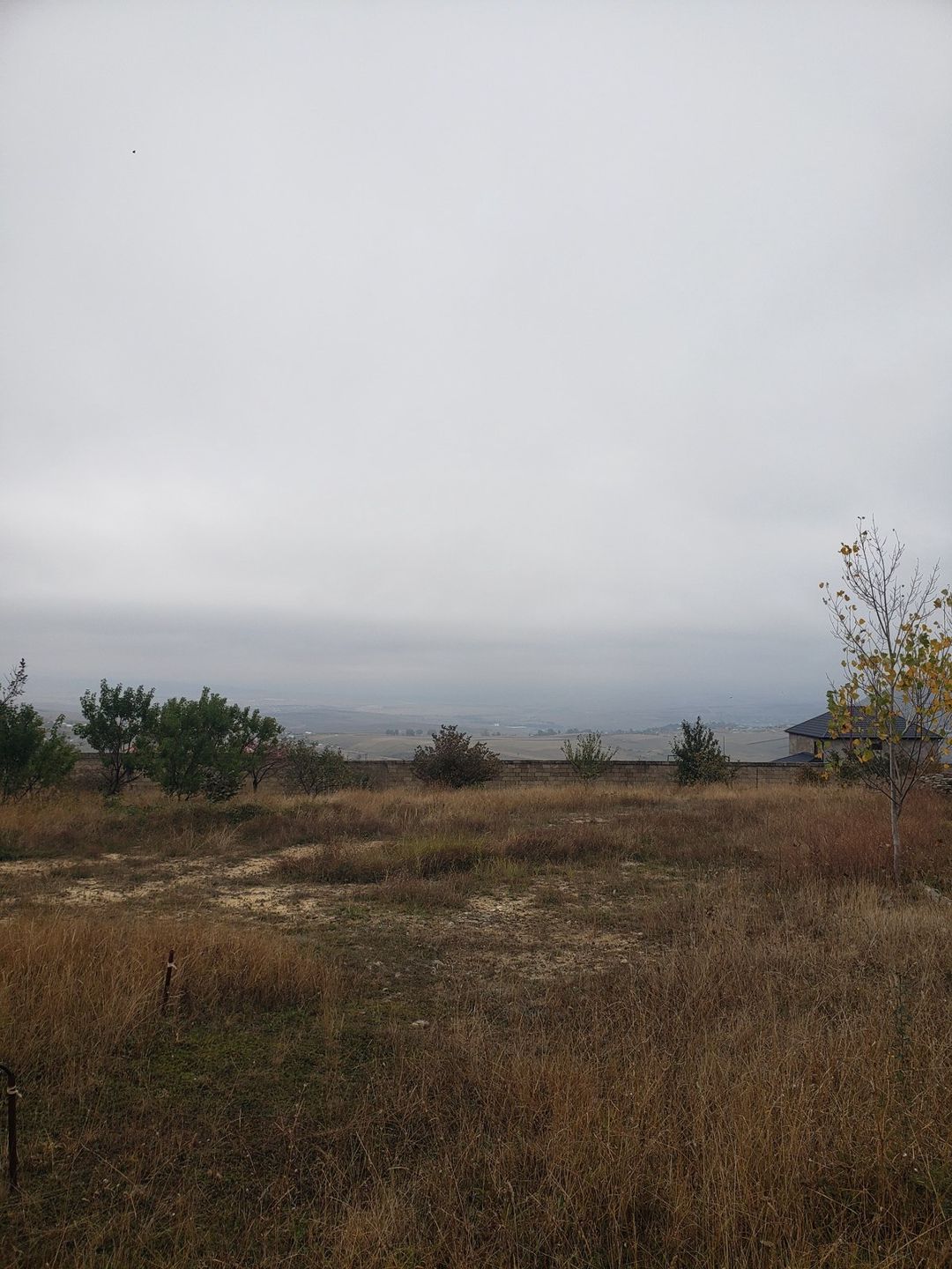 Satılır torpaq 30 sot — Torpaq, Şamaxı (9)