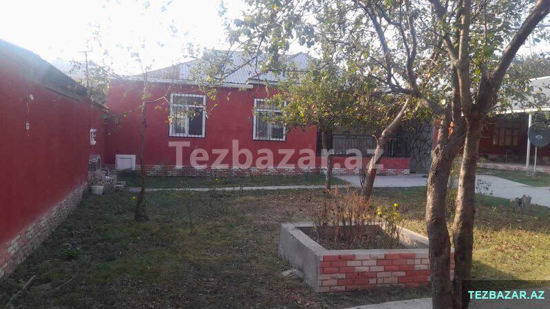 Real alıcılar zeng etsin — Ev, villa, Qəbələ (6)