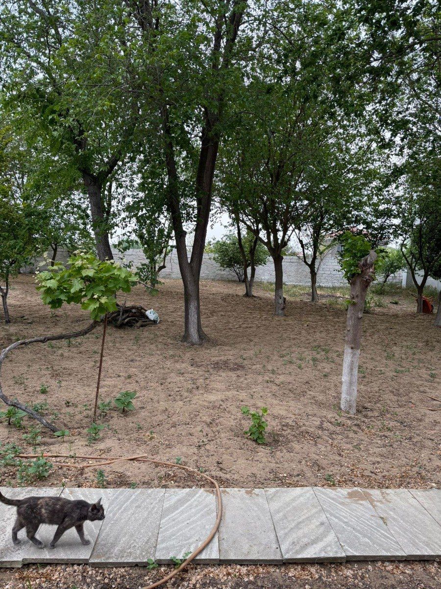 Satılır torpaq 6 sot — Torpaq, Bakı