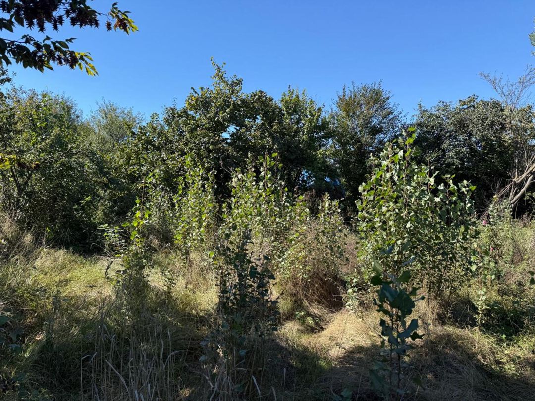 Satılır torpaq 10 sot — Torpaq, Quba (4)