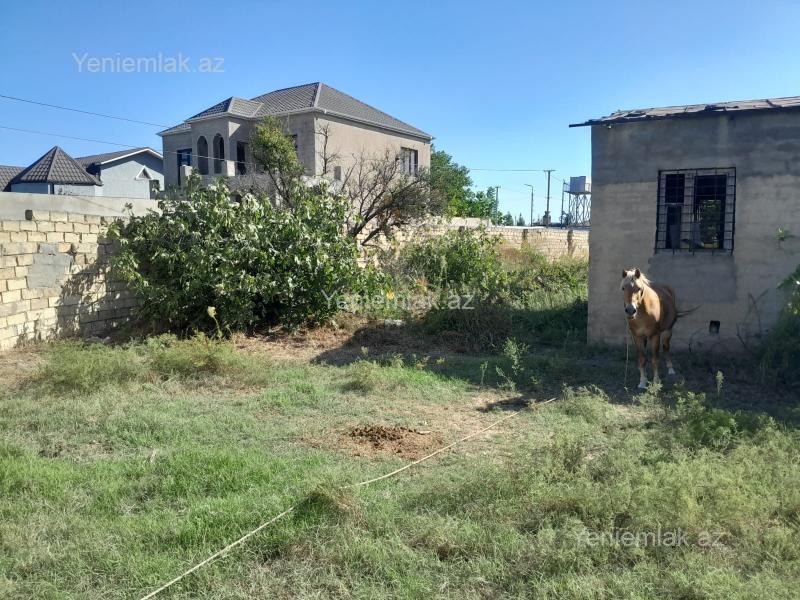 Satılır Torpaq sahəsi, 6 sot, Novxanı — Torpaq, Abşeron (4)