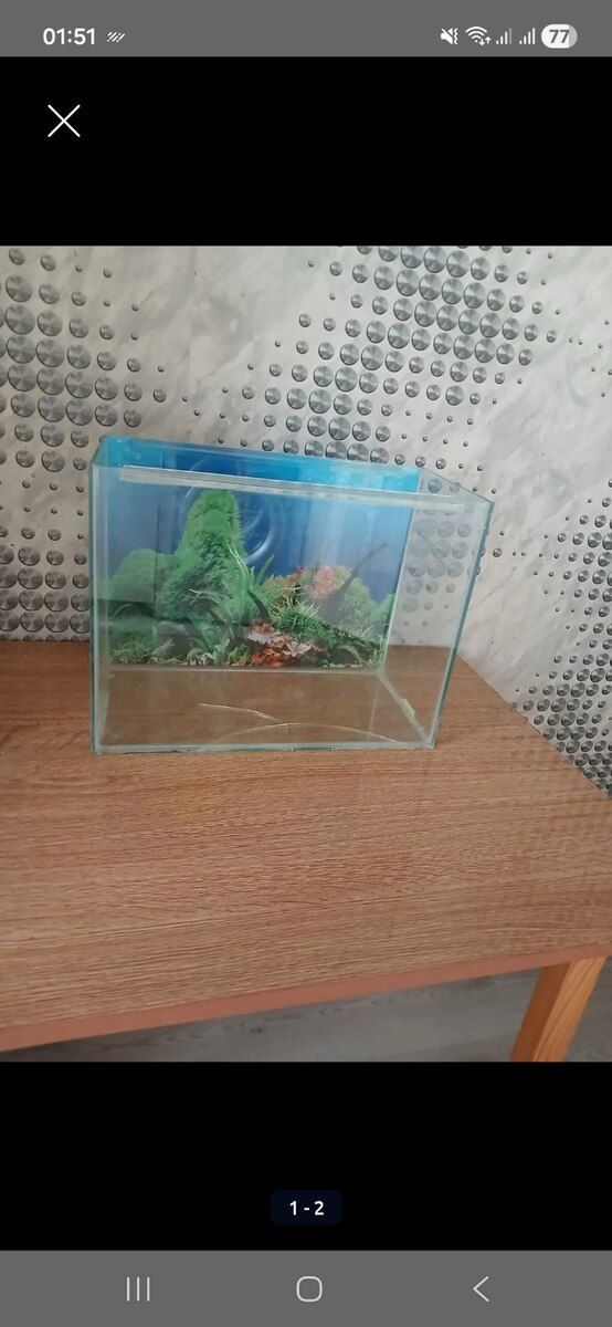 Akvarium — Akvariumlar və balıqlar, Bakı