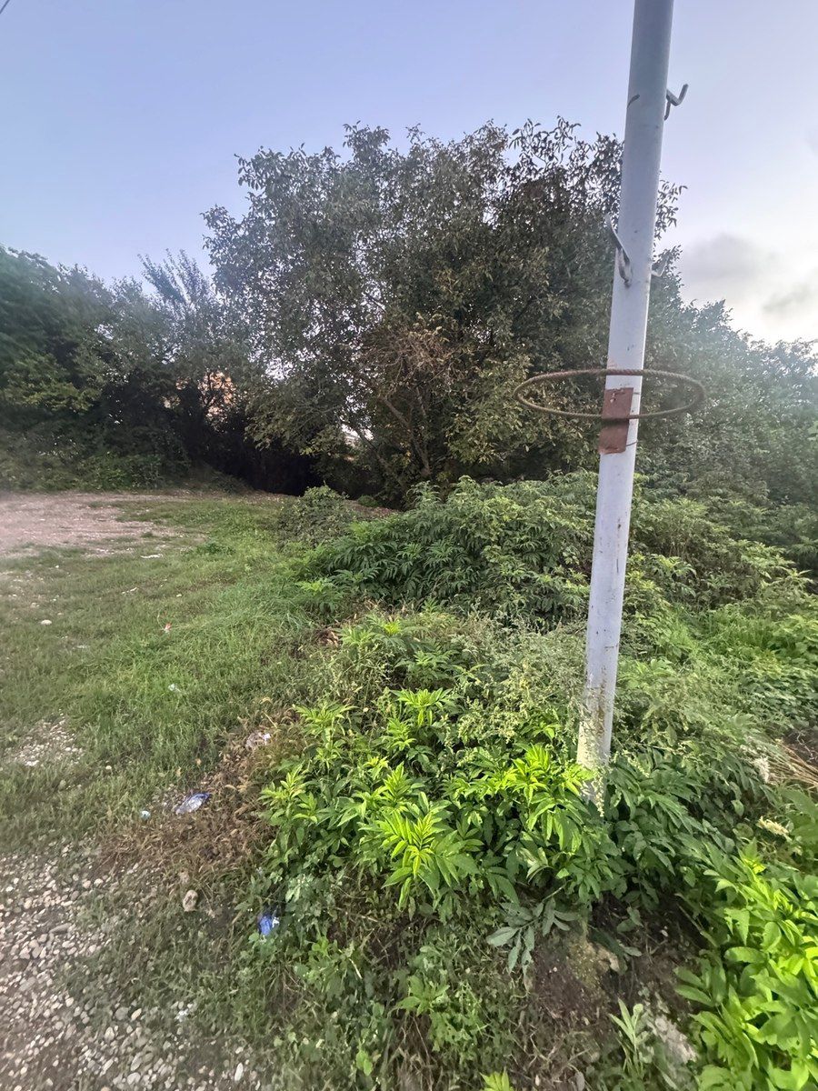 2 sot torpaq sahəsi, Qusar ş — Torpaq, Qusar (4)