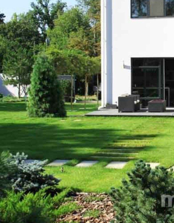 Landşaft dizayn işləri — Təmir və inşaat, Bakı (6)