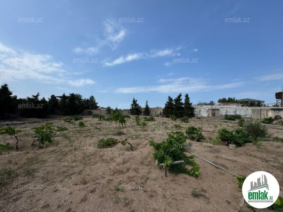 Satılır 30 sot torpaq Şüvəlan — Torpaq (7)