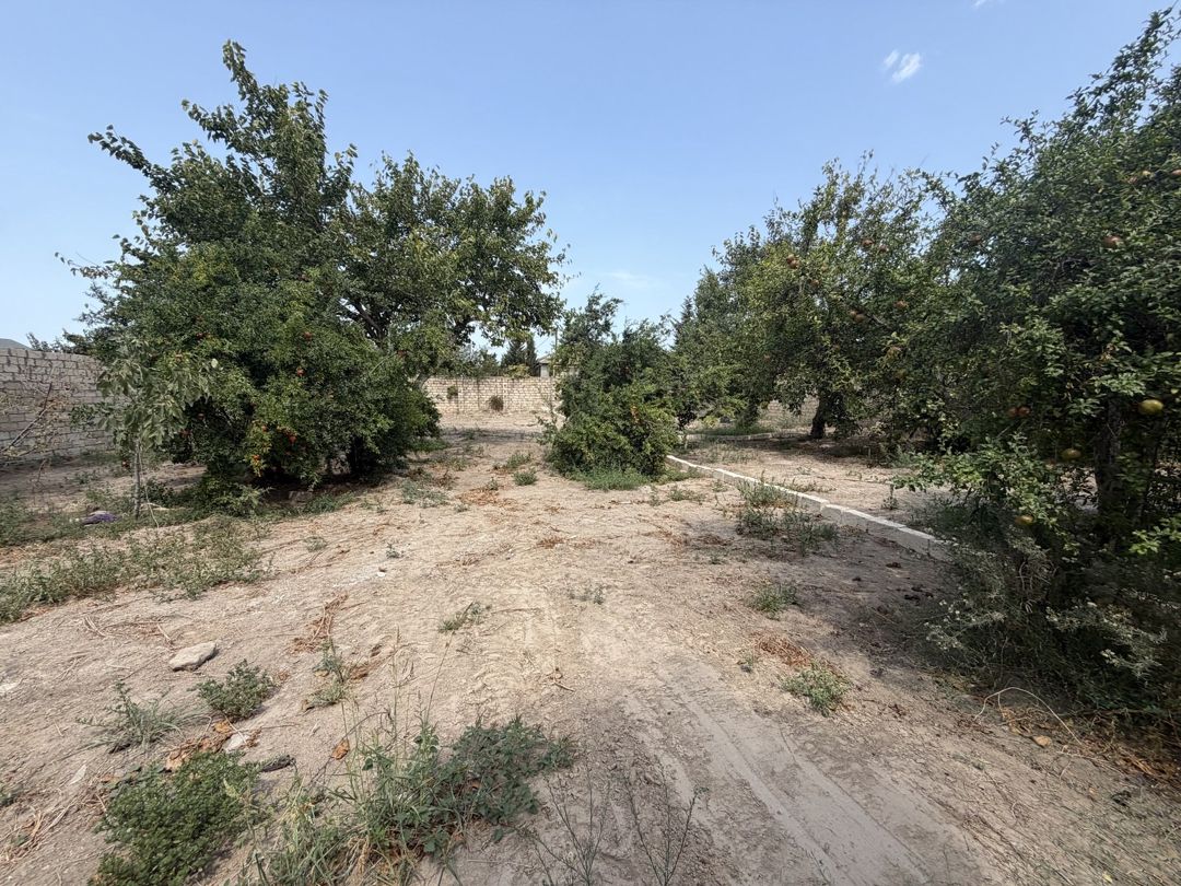 Satılır torpaq 11 sot — Torpaq, Bakı (3)
