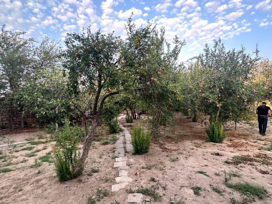 Satılır torpaq 4 sot — Torpaq, Bakı (6)