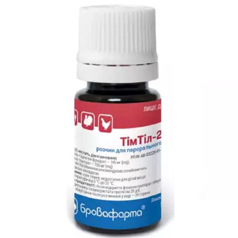 TimTil-250 — Bakı